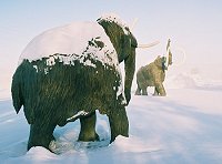 Mammoth statues guard the Beringia Museum in Whitehorse, Yukon, in an ice fog at -40&deg;