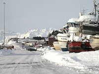 #valdez-boats-insnow-5821 - Boats in the snow at Valdez, Alaska